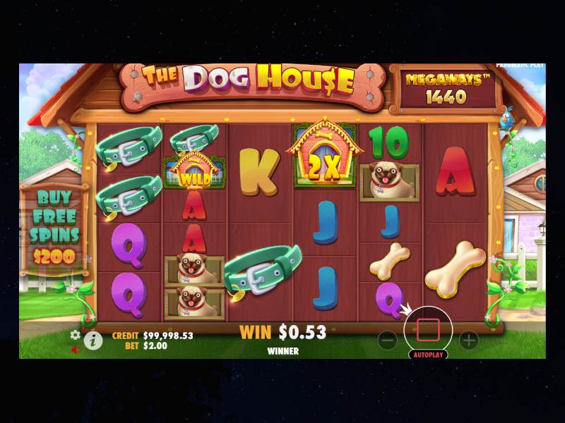 Dog House Megaways game features