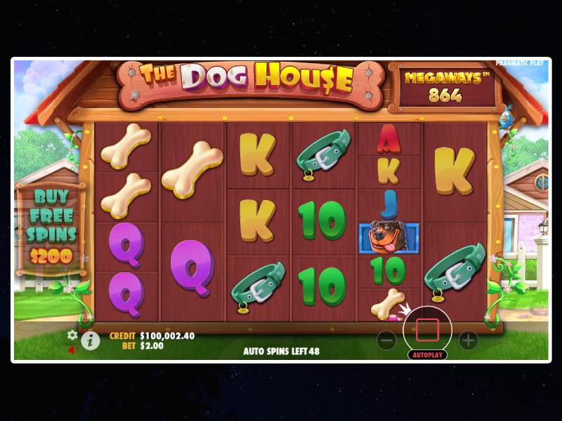 Dog House Megaways slot special features and symbols