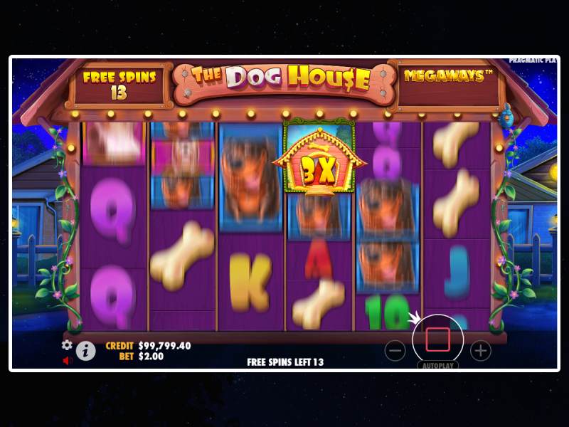 RTP, volatilité, profit maximum sur Dog House Megaways