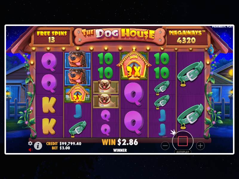 Tactics and strategies for the Dog House Megaways slot game